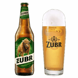 Żubr